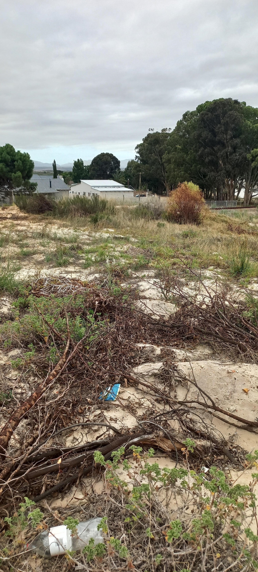 0 Bedroom Property for Sale in Albertinia Western Cape